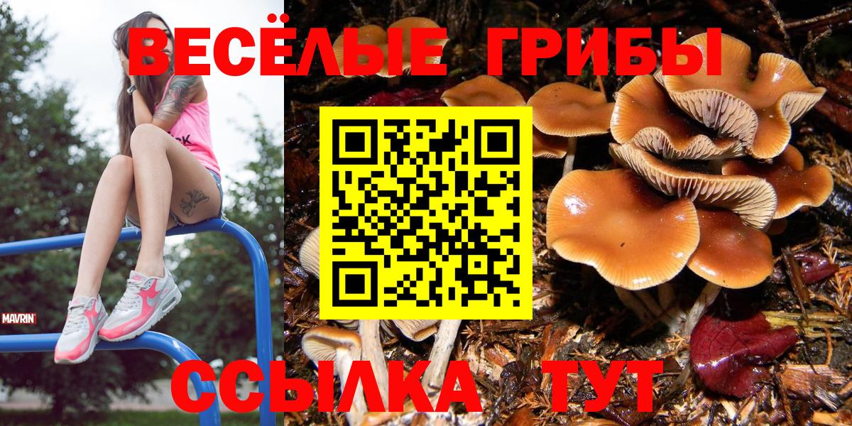 КОКАИН  МЕТАМФЕТАМИН  ГАШИШ  Канабис  MDMA  Губкин  ГАШ  Меф   Купить наркоту  Вход с VPN  A-PVP СК кристаллы 