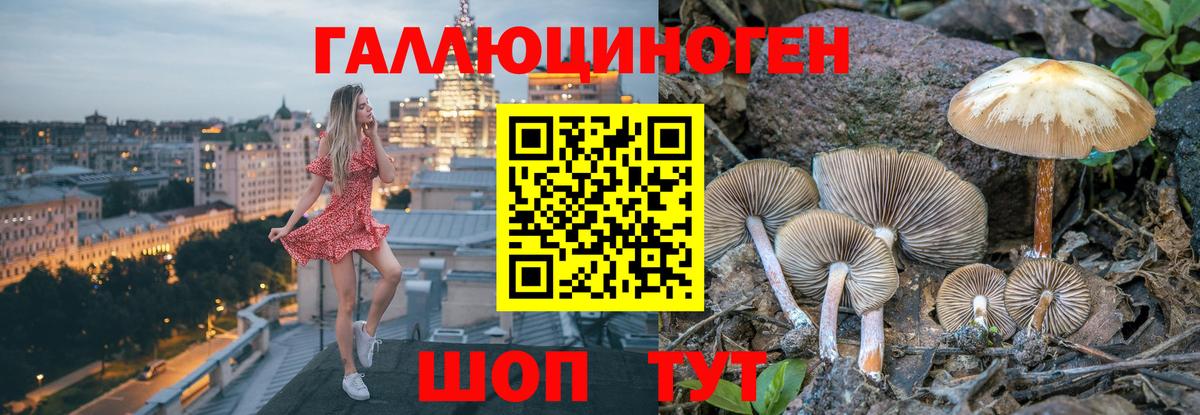 Галлюциногенные грибы ЛСД Губкин