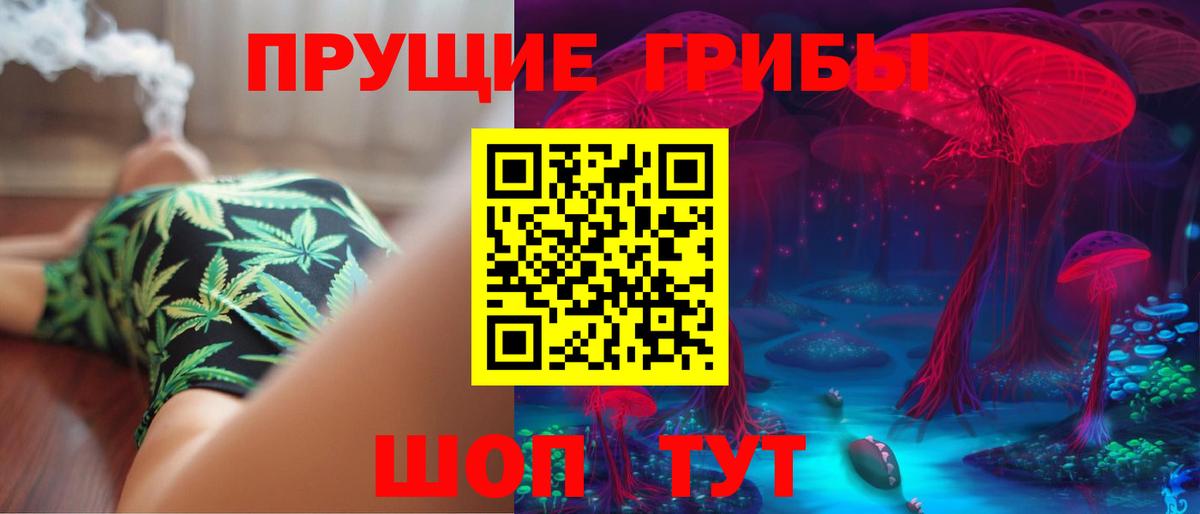 Галлюциногенные грибы GOLDEN TEACHER  Вход с VPN  Губкин 
